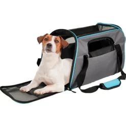 Bolsa De Transporte Gisel 48X25X33 Cm