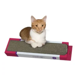 Catshion Scratch Golf