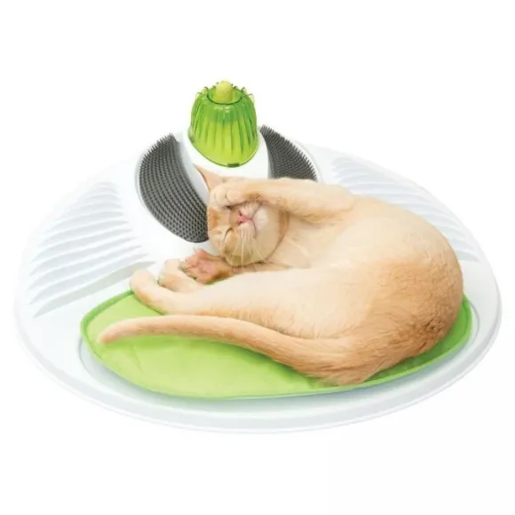 Centro De Masaje Unidad