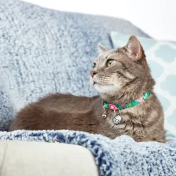 Collar Con Smart Id Para Gatos Tropical