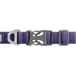 Collar Reflectante Front Range - Purpura