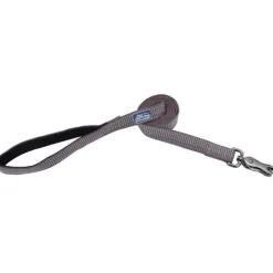 Correa Brights Reflective Dog, Mountain