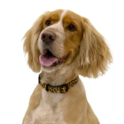 Dog Collar Leopard