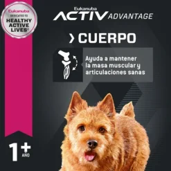 Eukanuba Adulto Small Alimento Para Perro
