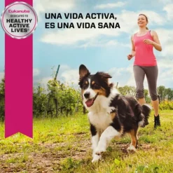 Eukanuba Adulto Small Alimento Para Perro