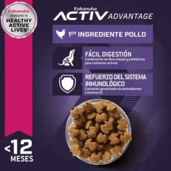 Eukanuba Puppy Large Alimento Para Perro