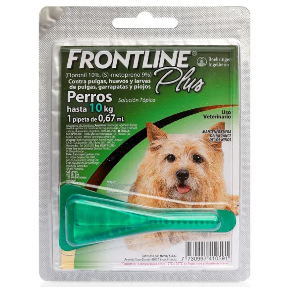 Frontline P. Perro