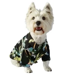 Guayabera Para Mascota Anga Roa