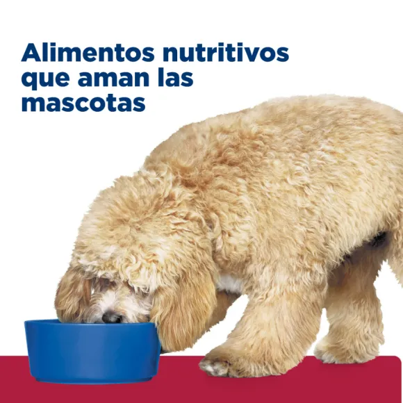 Hills Canine H/D Heart Care