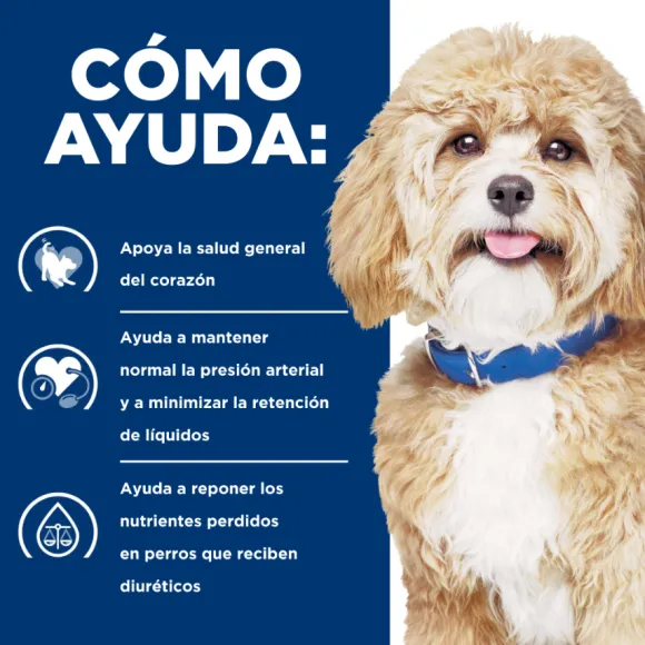 Hills Canine H/D Heart Care