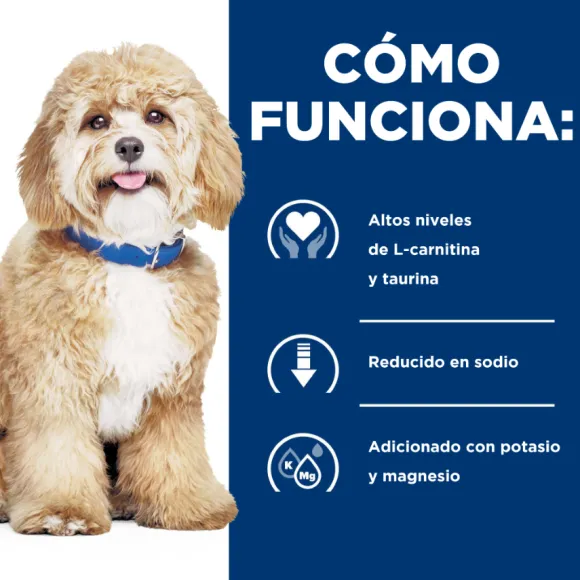 Hills Canine H/D Heart Care