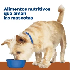 Hills Canine K/D Kidney Care