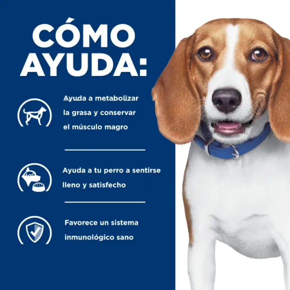 Hills Canine R/D Weight Reduction