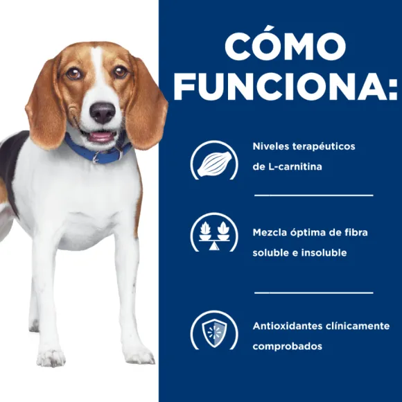 Hills Canine R/D Weight Reduction