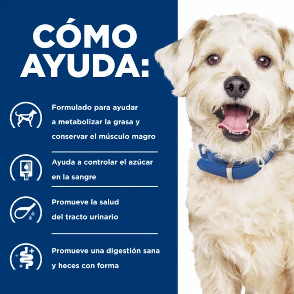 Hills Canine W/D Digestive / Weight / Glucose Mgmt.