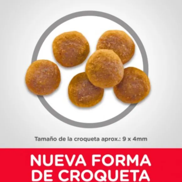 Hills Feline Adult Optimal Care Original Alimento Para Gato