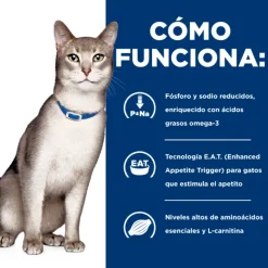 Hills Feline K/D Kidney Care