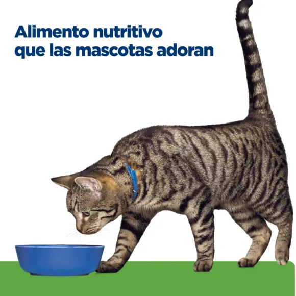 Hills Feline Metabolic Alimento Para Gatos