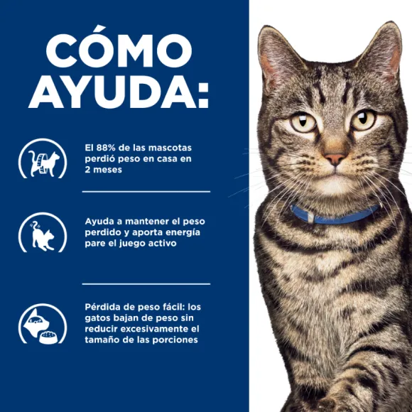 Hills Feline Metabolic Alimento Para Gatos