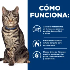 Hills Feline Metabolic Alimento Para Gatos