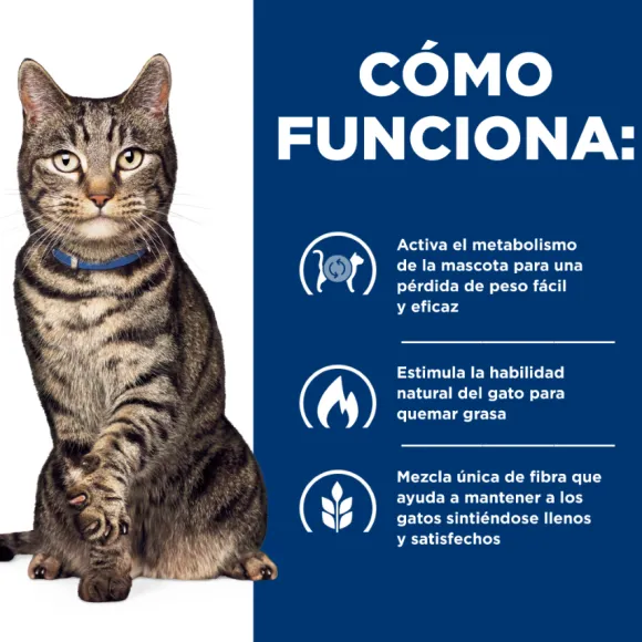 Hills Feline Metabolic Alimento Para Gatos