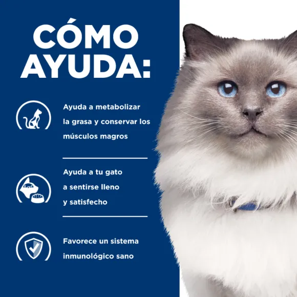 Hills Feline R/D Weight Reduction