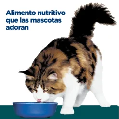 Hills Feline W/D Digestive / Weight Mgmt.