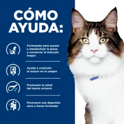 Hills Feline W/D Digestive / Weight Mgmt.