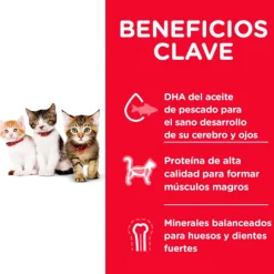Hills Kitten Healthy Development Alimento Para Gato