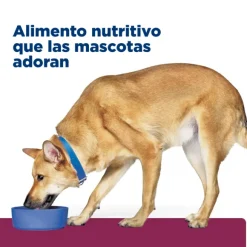 Hills Lata Canine I/D Cuidado Digetivo Alimento H Medo Para Perros