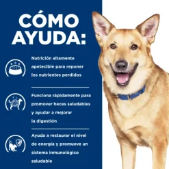 Hills Lata Canine I/D Cuidado Digetivo Alimento H Medo Para Perros
