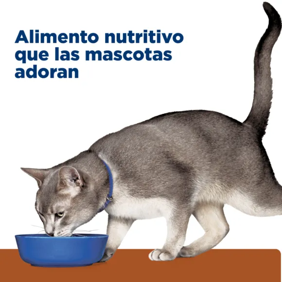 Hills Lata Feline K/D Cuidado Ri On Alimento H Medo Para Gatos