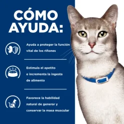 Hills Lata Feline K/D Cuidado Ri On Alimento H Medo Para Gatos