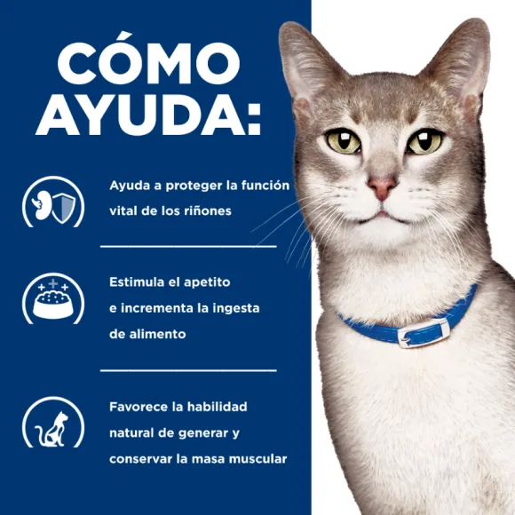 Hills Lata Feline K/D Cuidado Ri On Alimento H Medo Para Gatos