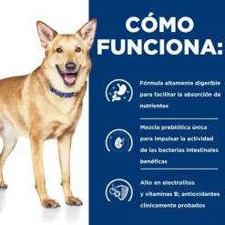 Hill'S Prescription Diet Cuidado Digestivo Alimento H Medo Para Perros Peque Os 156 Gr