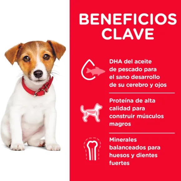 Hills Puppy Small Bites Receta De Harina De Pollo Y Cebada Alimento Para Perro