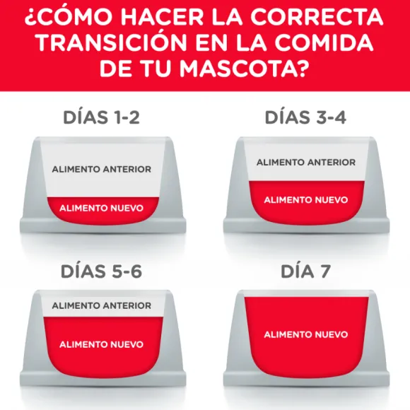 Hills Puppy Small Bites Receta De Harina De Pollo Y Cebada Alimento Para Perro