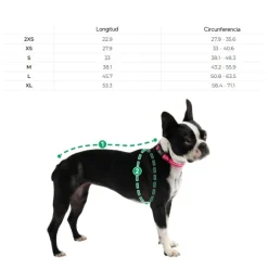 Impermeable Reversible Verde