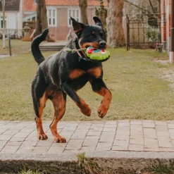 Juguete Bob The Blob