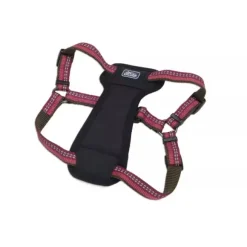 K9 Explorer Arn S Acolchado Guinda