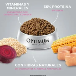 Optimum Kitten Sabor Pollo Alimento Para Gatos 1 Kg