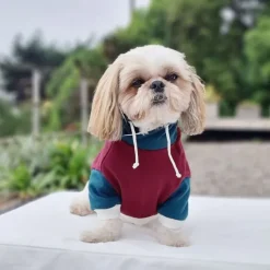 Poleron Para Mascota Old School