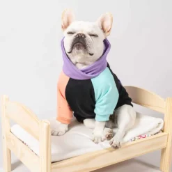 Poleron Para Mascota Tricolor