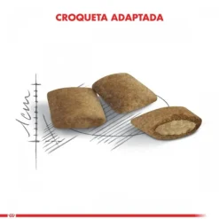 Royal Canin Adulto Ageing 12+ 2Kg Alimento Para Gato