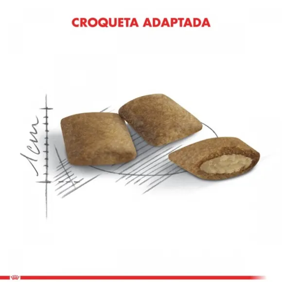 Royal Canin Adulto Ageing 12+ 2Kg Alimento Para Gato