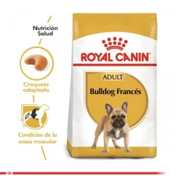 Royal Canin Adulto Bulldog Frances Alimento Para Perro