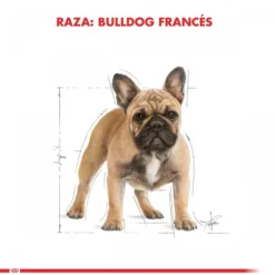 Royal Canin Adulto Bulldog Frances Alimento Para Perro