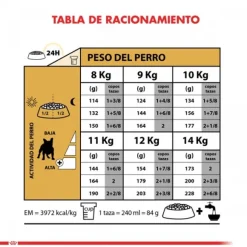 Royal Canin Adulto Bulldog Frances Alimento Para Perro