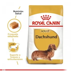 Royal Canin Adulto Dachshund Alimento Para Perro