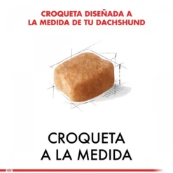 Royal Canin Adulto Dachshund Alimento Para Perro